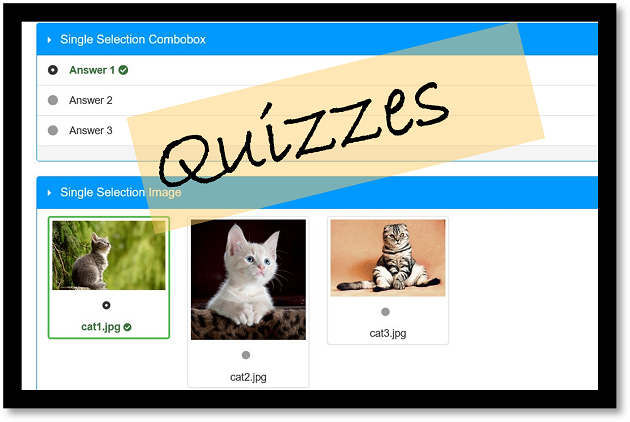 quiz blog